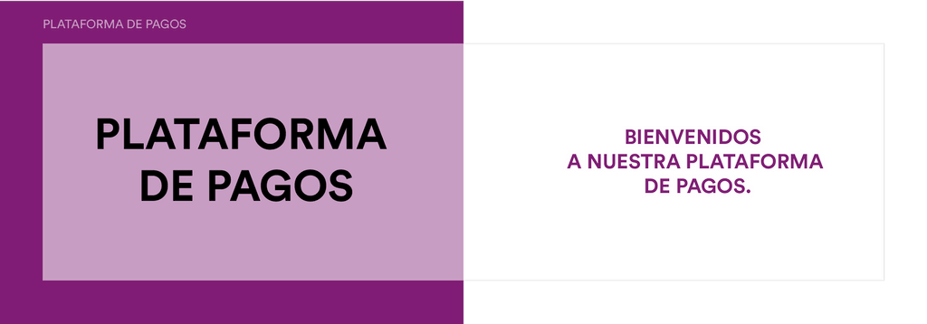 plataforma de pagos acceso colombia